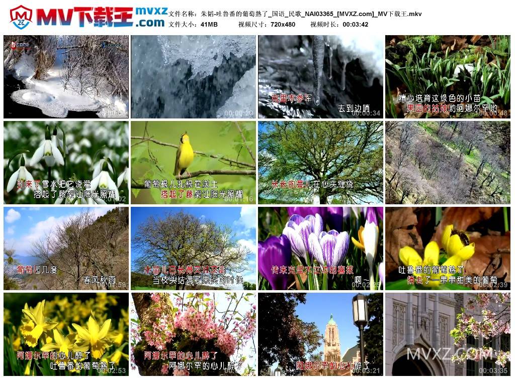 朱韬-吐鲁番的葡萄熟了_国语_民歌_NAI03365